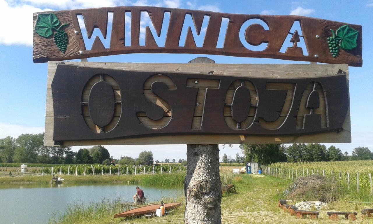 Agroturystyka Willa Ola Giewartów Exterior foto